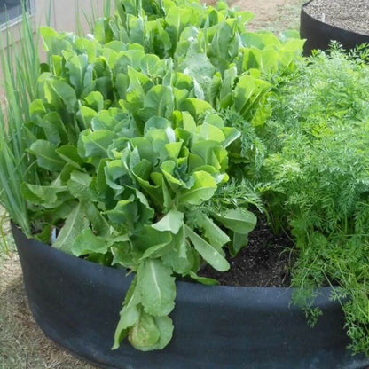 Fabric Raised Planting Bed